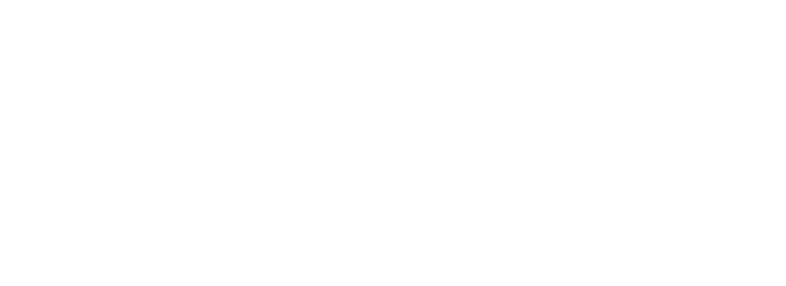 Afro Nova Festival